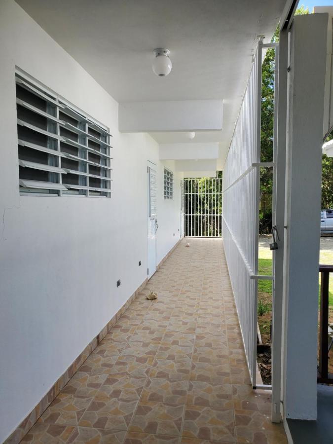 Crab Island Adventures Apartments Vieques Eksteriør bilde