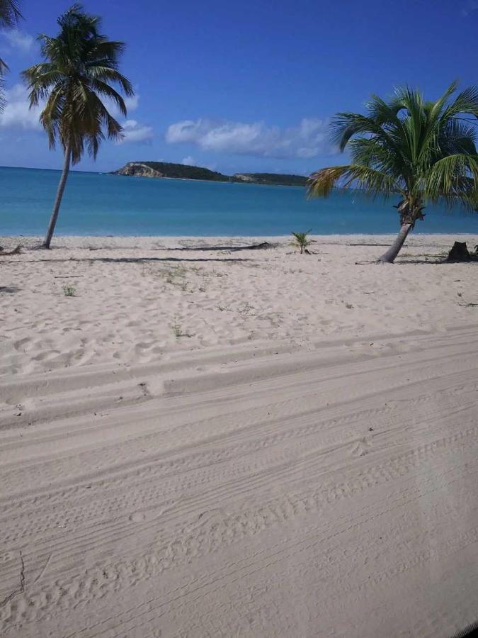 Crab Island Adventures Apartments Vieques Eksteriør bilde